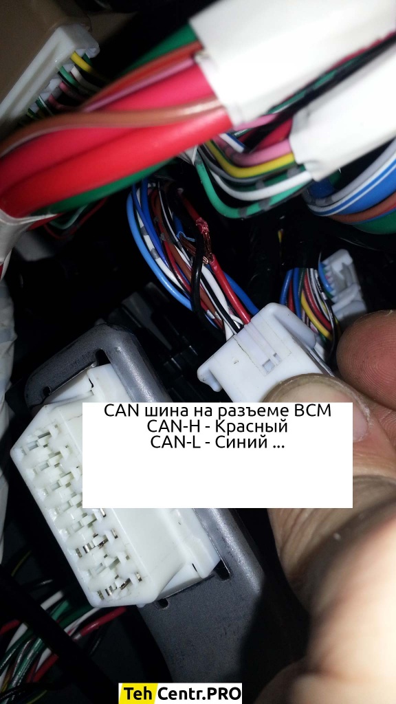 CAN шина на разъеме BCM